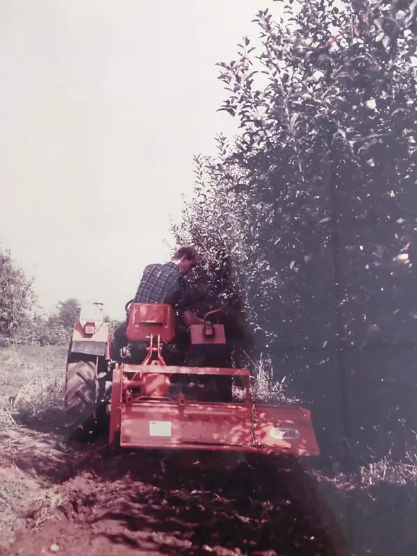zappatrice trattore lavorazione terreno