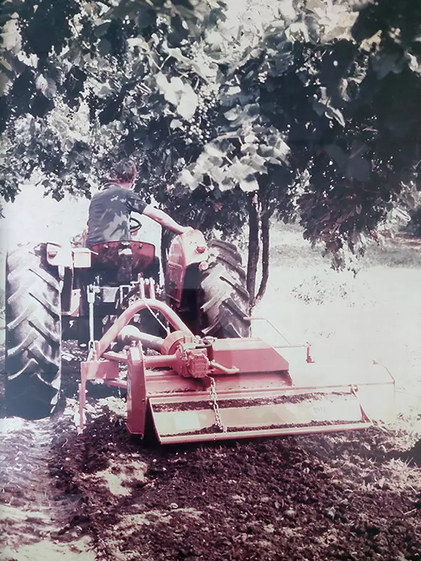 zappatrice vigneto lavorazione terreno